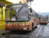 Buses San Ignacio de Loyola 1 / 2 na cidade de Alto Paraíso de Goiás, Goiás, Brasil, por Fernando Gonzalez Garita. Número da foto: #5528180.