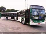 Via Sul Transportes Urbanos 5 2500 na cidade de São Paulo, São Paulo, Brasil, por Felipe Vitor Paixão Vieira. Número da foto: #5529533.