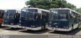TUPSA 00 na cidade de Alto Paraíso de Goiás, Goiás, Brasil, por Fernando Gonzalez Garita. Número da foto: #5530604.