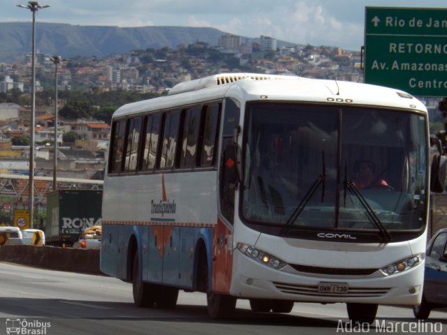 Transfigueiredo Transportes e Serviços 1738 na cidade de Belo Horizonte, Minas Gerais, Brasil, por Adão Raimundo Marcelino. ID da foto: 5469241.