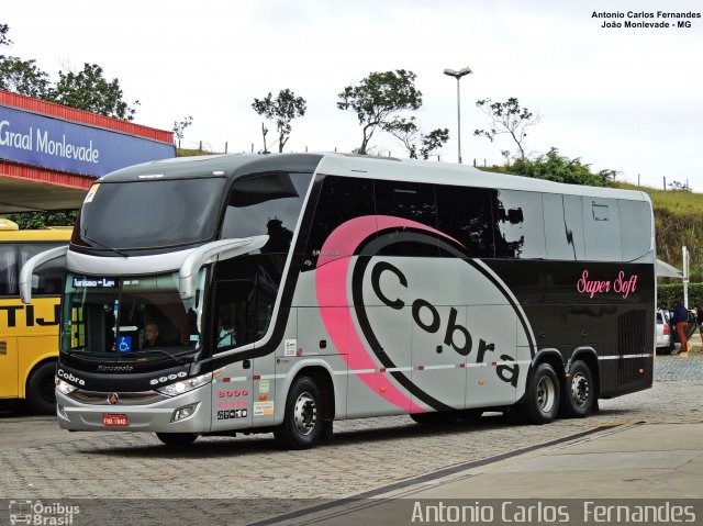 Cobra Viagens e Turismo 8000 na cidade de João Monlevade, Minas Gerais, Brasil, por Antonio Carlos Fernandes. ID da foto: 5467807.