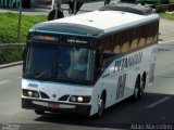 Pitangui Turismo 2000 na cidade de Belo Horizonte, Minas Gerais, Brasil, por Adão Raimundo Marcelino. Número da foto: #5469331.