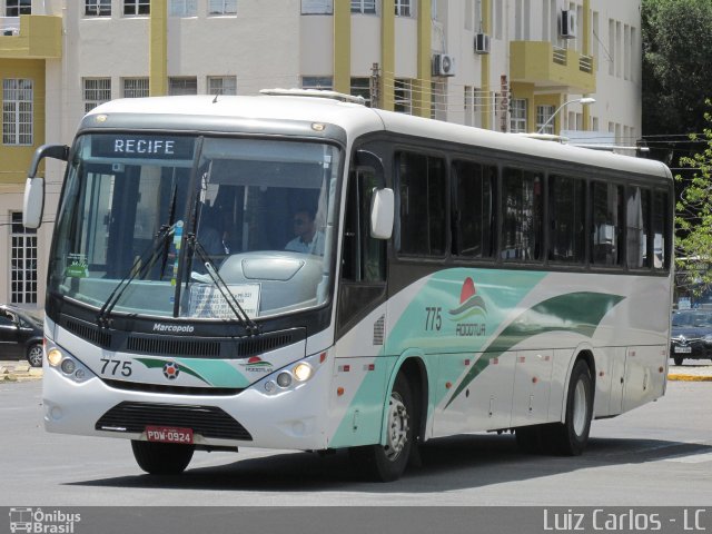 Rodotur Turismo 775 na cidade de Recife, Pernambuco, Brasil, por Luiz Carlos de Santana. ID da foto: 5536484.