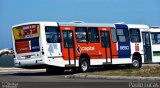 Capital Transportes 8650 na cidade de Aracaju, Sergipe, Brasil, por Paulo Lucas. Número da foto: #5536340.