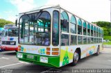 Ônibus Particulares 7381 na cidade de São Paulo, São Paulo, Brasil, por Luis Fernando da Silva. ID da foto: :id.