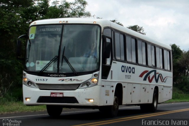 AVOA - Auto Viação Ourinhos Assis 11137 na cidade de Paraguaçu Paulista, São Paulo, Brasil, por Francisco Ivano. ID da foto: 5471458.