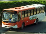 Autotrans > Turilessa 25756 na cidade de Belo Horizonte, Minas Gerais, Brasil, por Adão Raimundo Marcelino. Número da foto: #5471872.