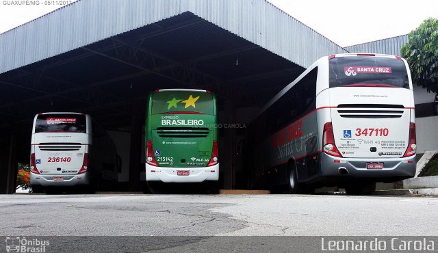 Terminais Rodoviários e Urbanos Guaxupe na cidade de Guaxupé, Minas Gerais, Brasil, por Leonardo Carola. ID da foto: 5473703.