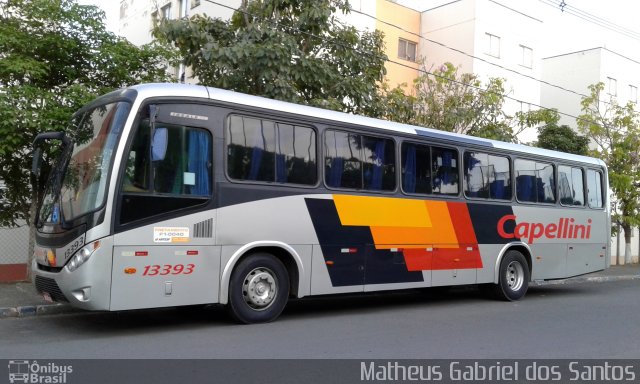 Transportes Capellini 13393 na cidade de Campinas, São Paulo, Brasil, por Matheus Gabriel dos Santos. ID da foto: 5473335.