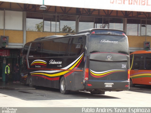 Talmocur 304 na cidade de Curicó, Curicó, Maule, Chile, por Pablo Andres Yavar Espinoza. Número da foto: #5474184.