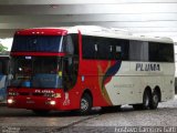Pluma Conforto e Turismo 4939 na cidade de Joinville, Santa Catarina, Brasil, por Gustavo Campos Gatti. Número da foto: #5473945.