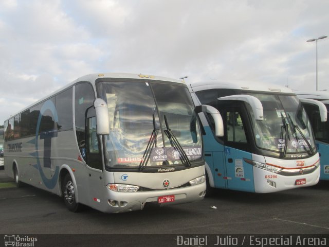 Transcione 3877 na cidade de São Lourenço da Mata, Pernambuco, Brasil, por Daniel  Julio. Número da foto: #5476118.