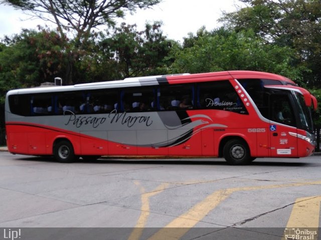 Empresa de Ônibus Pássaro Marron 5825 na cidade de São Paulo, São Paulo, Brasil, por Felipe Vitor Paixão Vieira. Número da foto: #5478132.