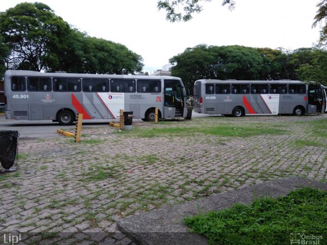 Empresa de Ônibus Pássaro Marron 45.901 na cidade de São Paulo, São Paulo, Brasil, por Felipe Vitor Paixão Vieira. ID da foto: 5478126.