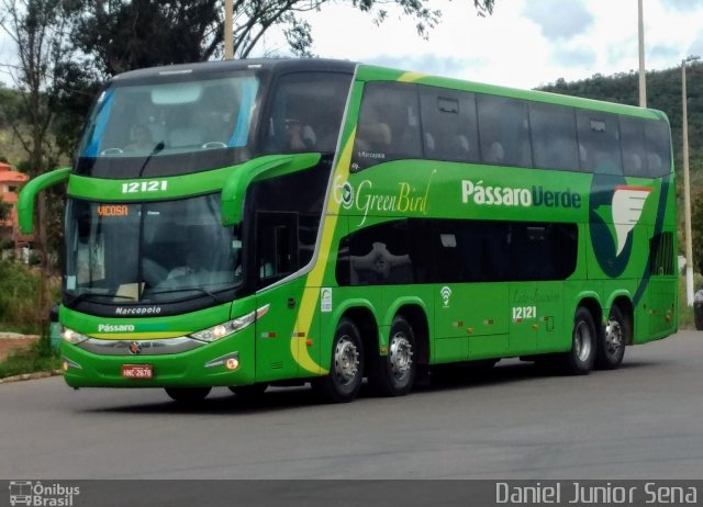 Pássaro Verde 12121 na cidade de Ouro Preto, Minas Gerais, Brasil, por Daniel Junior Sena. ID da foto: 5481260.