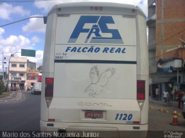 Falcão Real 1120 na cidade de Capim Grosso, Bahia, Brasil, por Mario dos Santos Nogueira Junior. ID da foto: 5482857.