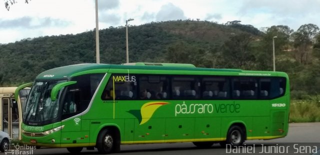 Pássaro Verde 15130 na cidade de Ouro Preto, Minas Gerais, Brasil, por Daniel Junior Sena. Número da foto: #5481253.