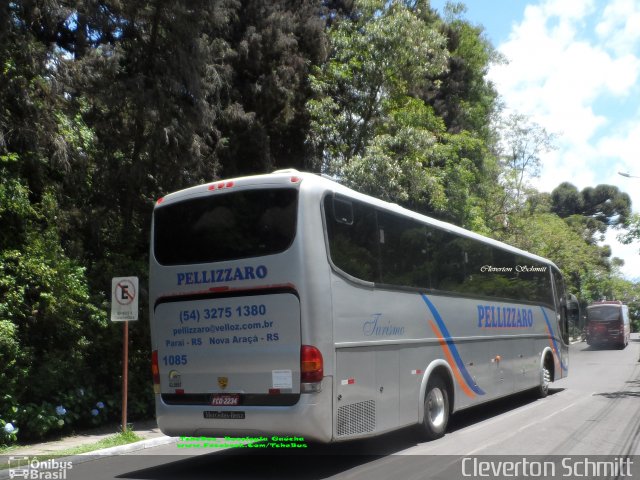 Pellizzaro Turismo 1085 na cidade de Gramado, Rio Grande do Sul, Brasil, por Cleverton Schmitt. ID da foto: 5483736.