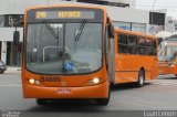Transporte Coletivo Glória BA699 na cidade de Curitiba, Paraná, Brasil, por Luan Lenon. Número da foto: #:id.