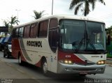Rouxinol 430 na cidade de Contagem, Minas Gerais, Brasil, por Adão Raimundo Marcelino. Número da foto: #5484715.