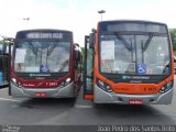 TRANSPPASS - Transporte de Passageiros 8 1431 na cidade de São Paulo, São Paulo, Brasil, por João Pedro dos Santos Brito. Número da foto: #5537761.