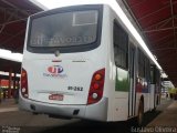 TransPremium 81-262 na cidade de São Luís, Maranhão, Brasil, por Gustavo Oliveira. Número da foto: #:id.
