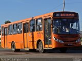 Auto Viação Redentor HA291 na cidade de Curitiba, Paraná, Brasil, por Gustavo Campos Gatti. Número da foto: #5565223.