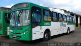 OT Trans - Ótima Salvador Transportes 20891 na cidade de Salvador, Bahia, Brasil, por Mairan Santos. Número da foto: #:id.