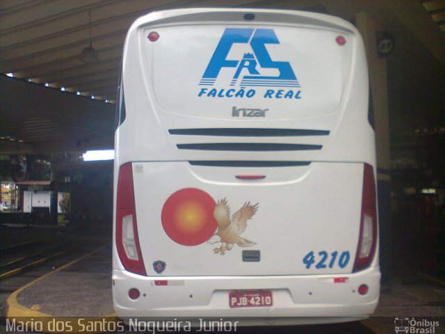 Falcão Real 4210 na cidade de Salvador, Bahia, Brasil, por Mario dos Santos Nogueira Junior. Número da foto: #5573261.