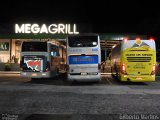 Ouro de Minas Transportes e Turismo 1303 na cidade de Sapucaia, Rio de Janeiro, Brasil, por Gilberto Martins. Número da foto: #5575423.