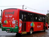 Turin Transportes 200 na cidade de Ouro Preto, Minas Gerais, Brasil, por Diogo  Silva. Número da foto: #5577680.