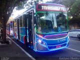 Transwolff Transportes e Turismo 6 6598 na cidade de São Paulo, São Paulo, Brasil, por Gustavo Oliveira. Número da foto: #5577894.