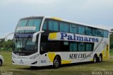 Turismo Palmares 603 na cidade de Florianópolis, Santa Catarina, Brasil, por Windy Silva. Número da foto: #5577666.