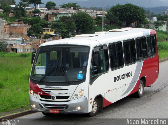 Rouxinol 315 na cidade de Belo Horizonte, Minas Gerais, Brasil, por Adão Raimundo Marcelino. ID da foto: 5580241.