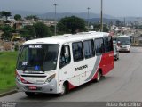 Rouxinol 1635 na cidade de Belo Horizonte, Minas Gerais, Brasil, por Adão Raimundo Marcelino. Número da foto: #5580237.