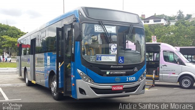 Transcooper > Norte Buss 2 6529 na cidade de São Paulo, São Paulo, Brasil, por Andre Santos de Moraes. Número da foto: #5581230.