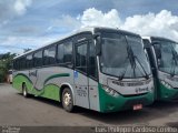 Turin Transportes 1270 na cidade de Ouro Branco, Minas Gerais, Brasil, por Luis Philippe Cardoso Coelho. Número da foto: #5582050.