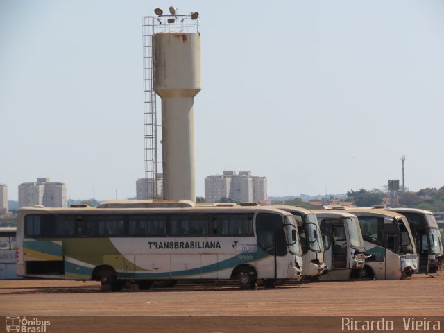 Transbrasiliana Transportes e Turismo 50201 na cidade de Goiânia, Goiás, Brasil, por Ricardo Vieira. ID da foto: 5586161.