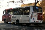 Transwolff Transportes e Turismo 7 8486 na cidade de São Paulo, São Paulo, Brasil, por Anderson William Vieira. Número da foto: #:id.