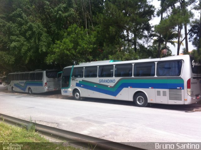 Grandino Transportes 4300 na cidade de Taboão da Serra, São Paulo, Brasil, por Bruno Santino. Número da foto: #5587603.