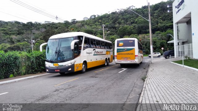 Transur - Transporte Rodoviário Mansur 8590 na cidade de Juiz de Fora, Minas Gerais, Brasil, por Nestor dos Santos Roza. Número da foto: #5542261.