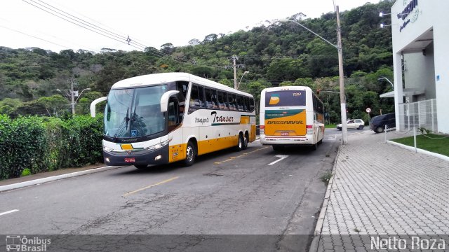 Transur - Transporte Rodoviário Mansur 8590 na cidade de Juiz de Fora, Minas Gerais, Brasil, por Nestor dos Santos Roza. ID da foto: 5542261.