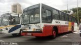 Noleto 48098 na cidade de São Paulo, São Paulo, Brasil, por Celso  Junior. Número da foto: #5542107.