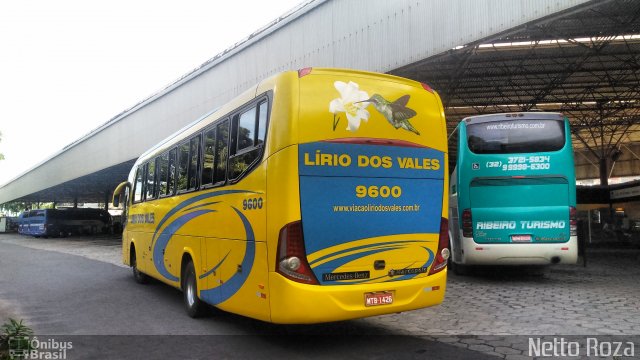Viação Lírio dos Vales 9600 na cidade de Vitória, Espírito Santo, Brasil, por Nestor dos Santos Roza. Número da foto: #5593812.