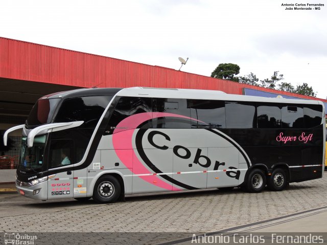 Cobra Viagens e Turismo 8000 na cidade de João Monlevade, Minas Gerais, Brasil, por Antonio Carlos Fernandes. ID da foto: 5593604.