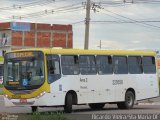 Viação Pioneira 220558 na cidade de Santa Maria, Distrito Federal, Brasil, por Ricardo Vieira. Número da foto: #5594559.