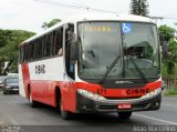 Viação Cisne 671 na cidade de Belo Horizonte, Minas Gerais, Brasil, por Adão Raimundo Marcelino. Número da foto: #5594048.