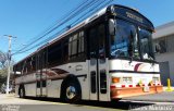 Autobuses sin identificación - Costa Rica SJB 13534 na cidade de , por Andrés Martínez Rodríguez. Número da foto: #5592161.