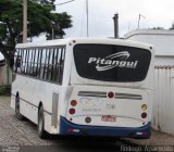 Pitangui Turismo 8982 na cidade de Pará de Minas, Minas Gerais, Brasil, por Rodrigo  Aparecido. Número da foto: #5593853.