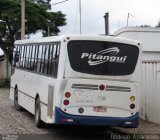 Pitangui Turismo 8982 na cidade de Pará de Minas, Minas Gerais, Brasil, por Rodrigo  Aparecido. ID da foto: :id.